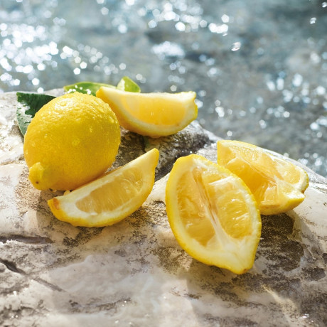 Dolce&Gabbana Light Blue Pour Homme Summer Vibes Light Blue Pour Homme Summer Vibes