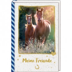 COPPENRATH Pferdefreunde Freundebuch Детский альбом для друзей Meine Freunde &quot;Galoppierende Pferde&quot;