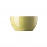 Thomas Thomas Sunny Day Avocado Green Zuckerschale 6 Personen 0,25 L Сахарница Thomas Sunny Day Avocado Green на 6 персон 0,25 л
