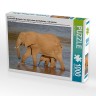 CALVENDO Puzzle CALVENDO Puzzle Emotionale Momente: Aus dem Leben der Elefanten. \/ CH-Version Пазл CALVENDO Пазл Эмоциональные моменты: из жизни слонов. \/ версия CH