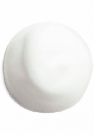Shiseido COMPLETE CLEANSING MICROFOAM Gesichtsreinigung - COMPLETE CLEANSING MICROFOAM очищение лица