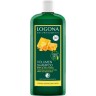 Logona Volumen Shampoo Bier & Bio-Honig  Шампунь Volume Beer &amp; Organic Honey