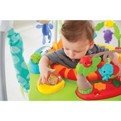 Mattel Fisher-Price Spielspass Rainforest Jumperoo Веселая игра Fisher-Price Rainforest Jumperoo