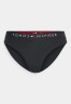 Tommy Hilfiger BIKINI Briefs desert sky БИКИНИ трусы небо пустыни
