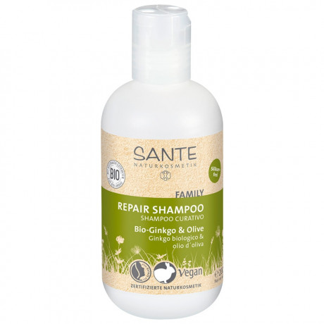 Sante (Санте) Kur Shampoo Bio Gingko & Olive Haarshampoo Haarpflege, 500 мл