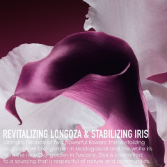 DIOR Set Das Totale Anti-Aging Hautpflege-Ritual  Установите комплексный ритуал ухода за кожей против старения