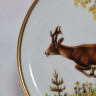 Тарелка декоративная винтажная AK Kaiser / Loh с изображением оленя, фарфор, 10 см, Германия, 1960-70гг.