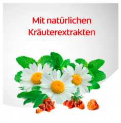 Dentagard Zahnpasta Kräuter Дентагард Зубная паста с травами 75мл