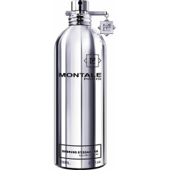 Montale (Монтейл) Meer Eau de Parfum Парфюмерная вода Spray Спрей Embruns D'Essaouira, 100 мл