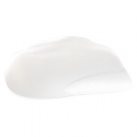 HAIR RITUEL by Sisley Soin Lavant Lissant a l#x27;huile de Moringa Soin Lavant Lissant a l#x27;huile de Moringa