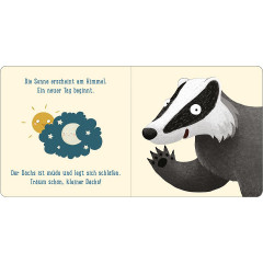 arsEdition Verlag Eine Nacht im Wald: Kleiner Dachs Ночь в лесу: барсучок