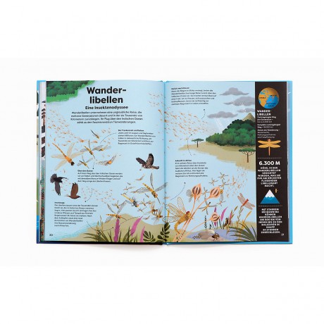 Laurence King Verlag Tiere in deiner Umgebung животные вокруг вас