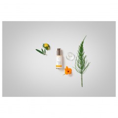 Dr. Hauschka Ausgleichendes Tagesfluid Балансировка дневной жидкости