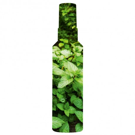 Yves Rocher Pure Menthe Blutenwasser klarende Pfefferminze Pure Menthe Blutenwasser очищающая мята