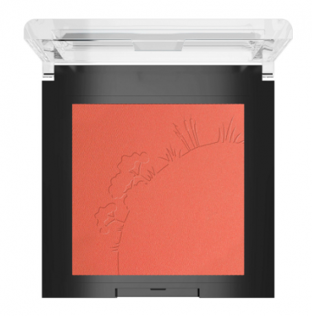 Sante Rouge Mineral Blush 02 Coral Bronze, Санте Натуральные минеральные румяна 02 Кораллово-бронзовый
