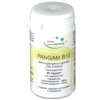 Pangam Vitamin B15 Kapseln Пангам, Витамин B15 в капсулах