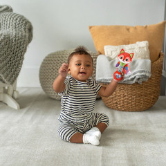 Vtech Babyrassel Fuchs Детеныш погремушки лиса