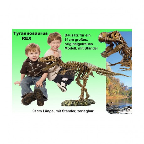 Edu-Toys XL Tyrannosaurus Rex Skelett 91cm T-Rex XL Tyrannosaurus Rex Скелет 91 см T-Rex