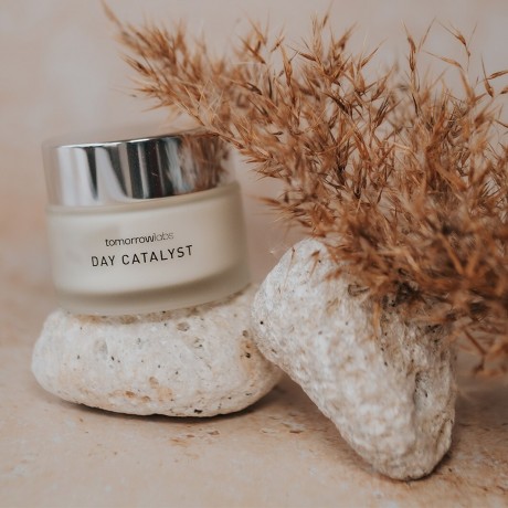 tomorrowlabs Day Catalyst  Катализатор дня