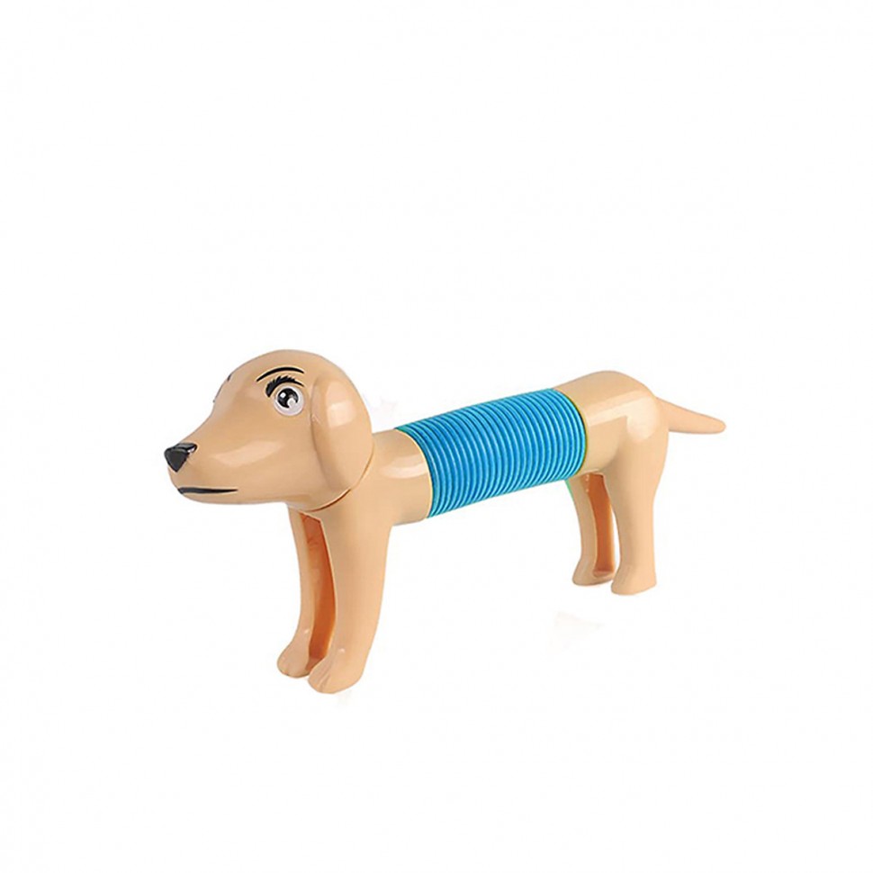 Купить frler frler Pop Tubes Sensorisches Spielzeug Einziehbarer Hund  Geschicklichkeitsspiele fur Kinder frler Pop Tubes Сенсорные игрушки  Выдвижные игры для детей с навыками для собак в интернет-магазине  Diskontshop.eu Германия всего за 1