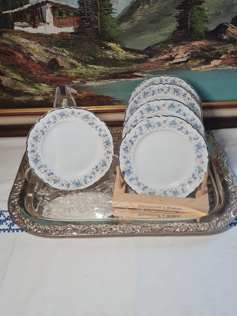 Hutschenreuther Bavaria Набор фарфоровых тарелок "Незабудки", 5 шт х 15,5 x 2 см, Германия, 1960-70гг.
