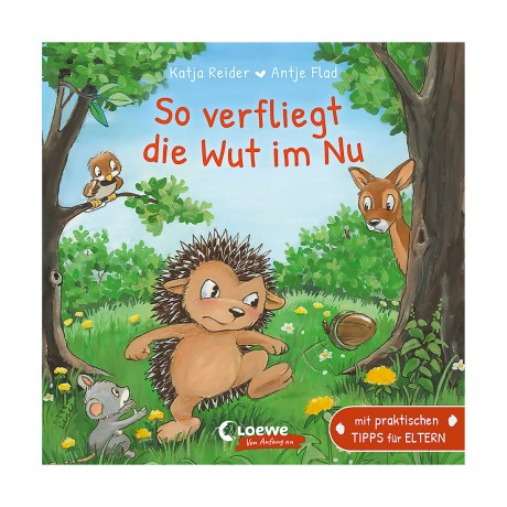 Loewe Verlag So verfliegt die Wut im Nu Так гнев рассеивается в мгновение ока