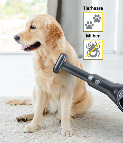 Genius Genius Akku-Bodenstaubsauger INVICTUS X8 Tierhaarburste Tierhaarentferner fur Katzen und Hunde  Беспроводной пылесос Genius INVICTUS X8 Animal Hair Brush средство для удаления шерсти животных для кошек и собак