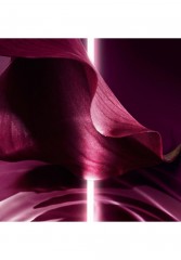 DIOR CAPTURE TOTALE FIRMING &amp; WRINKLE-CORRECTING CREME Anti-Aging transparent CAPTURE TOTAL FIRMING &amp;amp; WRINKLE-CORRECTING CREAM Anti-Aging