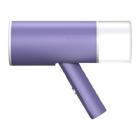 GelldG GelldG Dampfburste Steamer Dampfglatter, 1000 W Dampfburste Reisebugeleisen Mini blau Паровая щетка GelldG, отпариватель для разглаживания пара, дорожный мини-утюг с паровой щеткой мощностью 1000 Вт