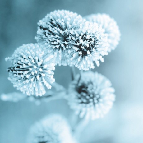 Polaar ICYMAGIC Augen Roll-On  ICYMAGIC Eye Roll-On