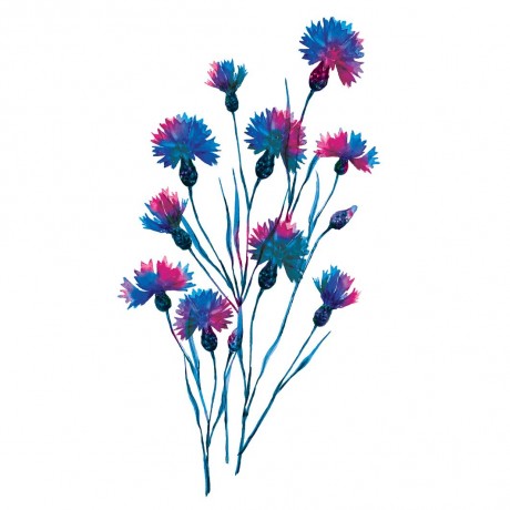 Yves Rocher Pure Bleuet Milder Augenmake-up Entferner Pure Bleuet Мягкое средство для снятия макияжа с глаз