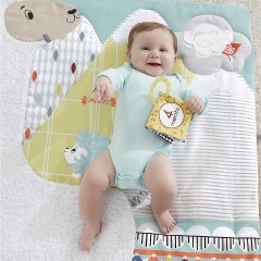 Mattel Fisher-Price 5-Sinnes Spieldecke Игровой коврик Fisher-Price 5-Senses