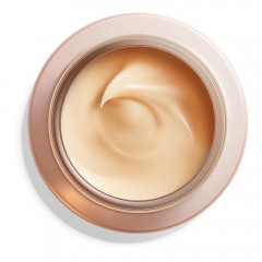 Shiseido Overnight Wrinkle Resisting Cream  Ночной крем против морщин