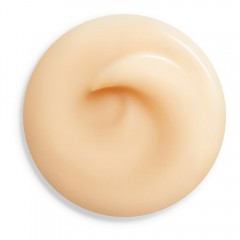 Shiseido Overnight Wrinkle Resisting Cream  Ночной крем против морщин