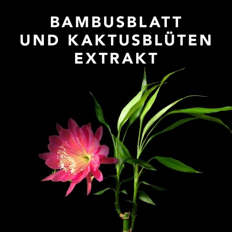 Sebastian Volupt Volumenspray  Объемный спрей Volupt