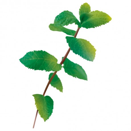 Yves Rocher Pure Menthe Porenverfeinernde Kohle-Maske Pure Menthe Маска с углем, очищающая поры