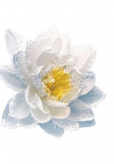 DIOR L#x27;EAU DEMAQUILLANTE MIZELLENWASSER Make-up-Entferner transparent L#x27;EAU DEMAQUILLANTE МИЦЕЛЛЯРНАЯ ВОДА средство для снятия макияжа