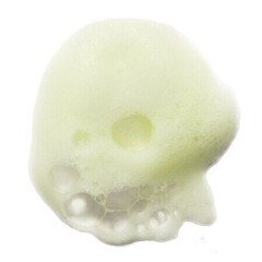 ERBORIAN Double Mousse Двойной мусс