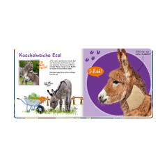 Coppenrath Verlag Fuhl mal hier Почувствуй себя здесь