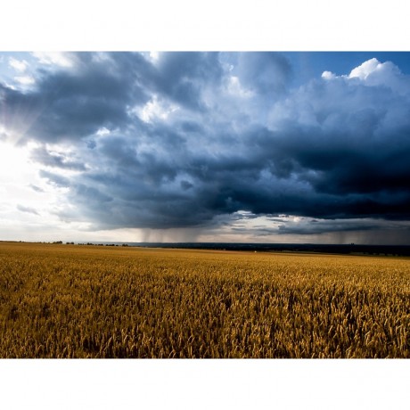 CALVENDO Puzzle CALVENDO Puzzle Ein Sturm braut sich zusammen Пазл CALVENDO Puzzle Назревает буря