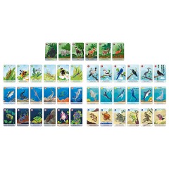 Janod -WWF Kombinationsspiel Tiergattungen 7 Motive -Комбинация видов диких животных WWF