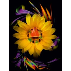 CALVENDO Puzzle CALVENDO Puzzle Romantic Blumentraume Пазл CALVENDO Puzzle Романтические цветочные мечты