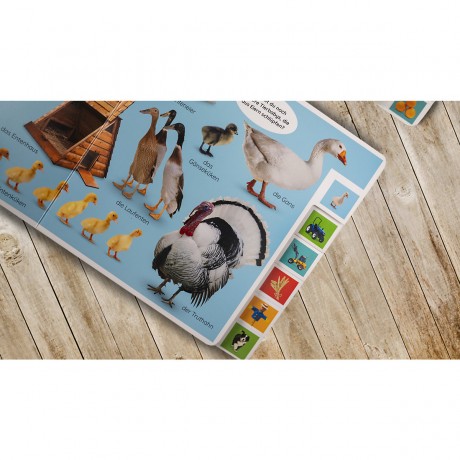 Dorling Kindersley Verlag Erstes Lernen. Tierkinder первое обучение. дети животных