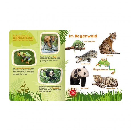 arsEdition Verlag Was horst du hier? Wilde Tiere Что ты здесь слышишь? Дикие звери