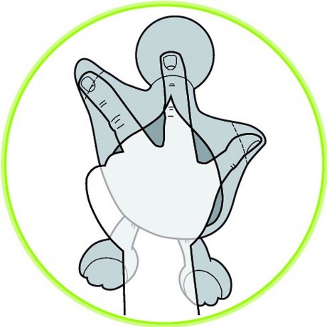 beleduc Schnuffeltuch Hund Harry Утешитель пес Гарри