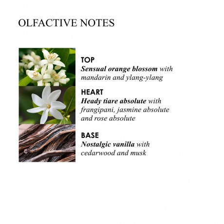 Molton Brown Flora Luminare Hand Lotion  Flora Luminare Лосьон для рук